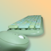 Limited Edition Frog Green Keyboard and Mouse Combo 2